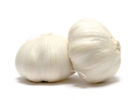 garlic(1)