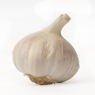 garlic(2)